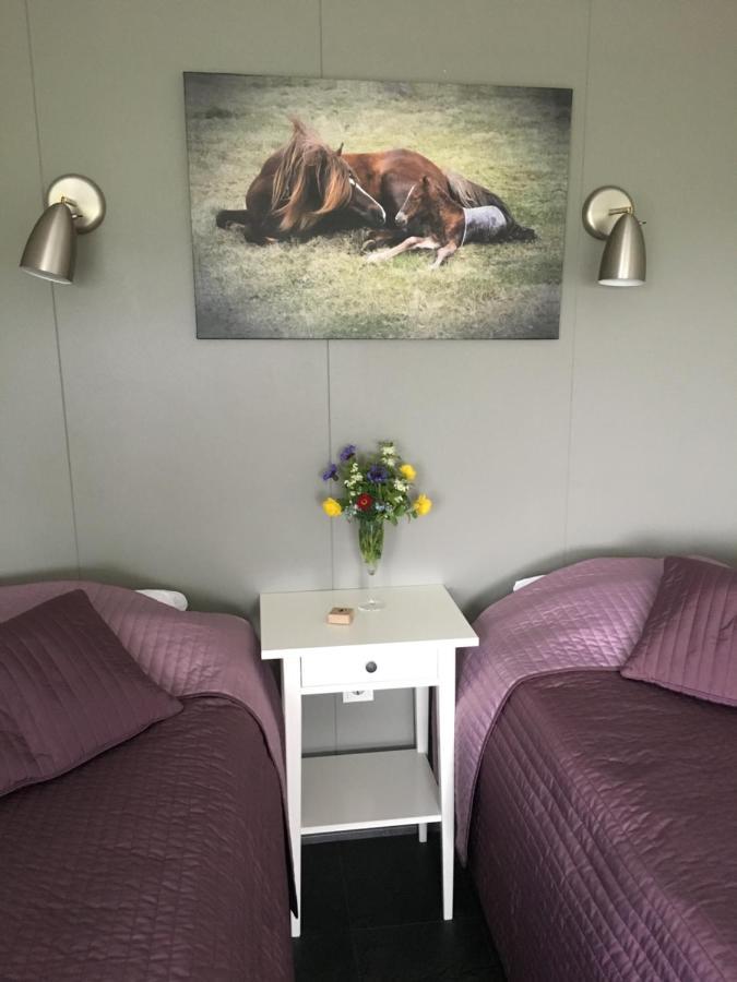 Stryta Apartment 2 Olfus エクステリア 写真